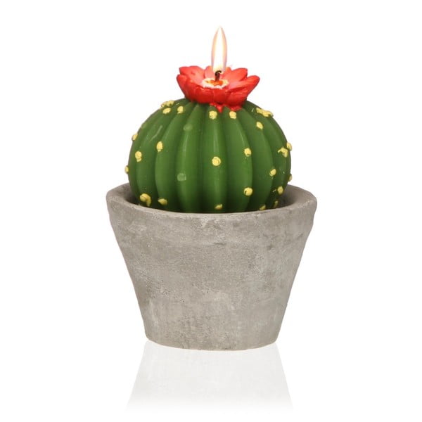 Cactus Emia kaktuszformájú díszgyertya - Versa