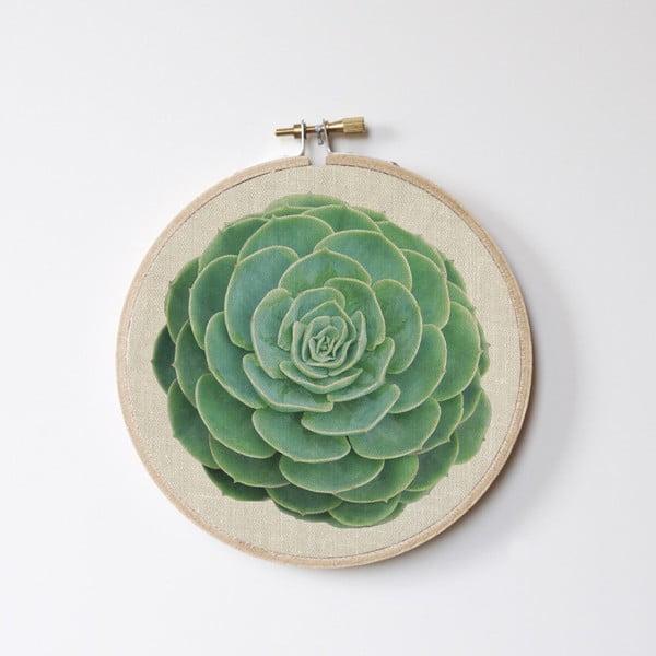 Stitch Hoop Suculenta fali dekoráció, ⌀ 27 cm - Surdic
