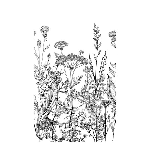 Gyerek fekete-fehér tapéta virágzó rét motívummal - Dekornik