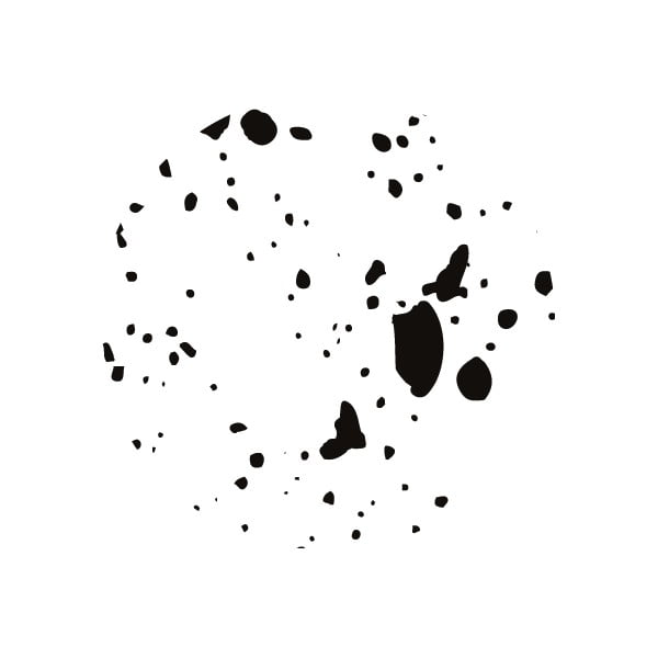 Birger fekete-fehér doboz 2 fiókkal - Bigso Box of Sweden-image-4