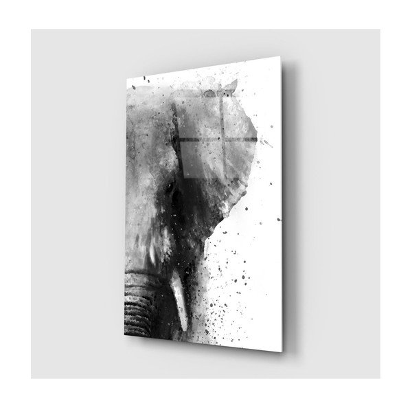 Elephant üvegkép, 46 x 72 cm - Insigne