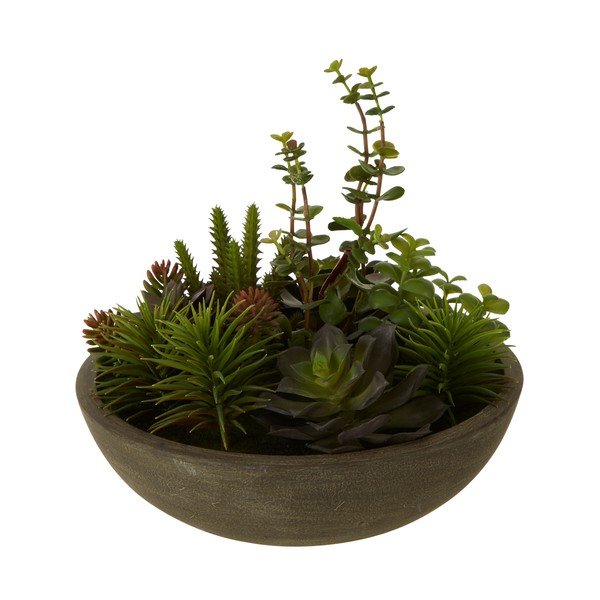Fiori mű pozsgás kaspóban - Premier Housewares-image-1