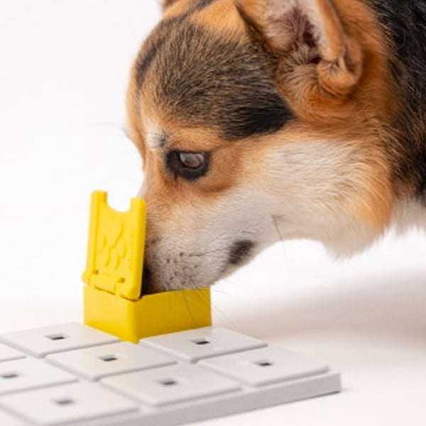 Ügyességi játék kutyáknak Base – Pawzler-image-1