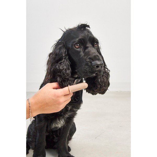 Kisállat fogkefe szett Dito – MiaCara-image-2