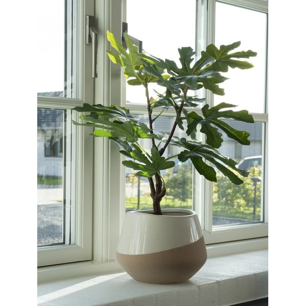 Műnövény (magasság 60 cm) Fig – House Nordic-image-1