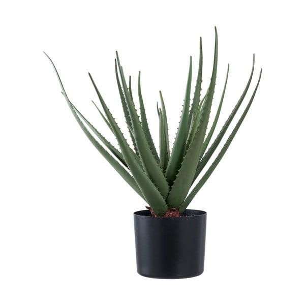 Műnövény (magasság 51 cm) Aloe Vera – House Nordic