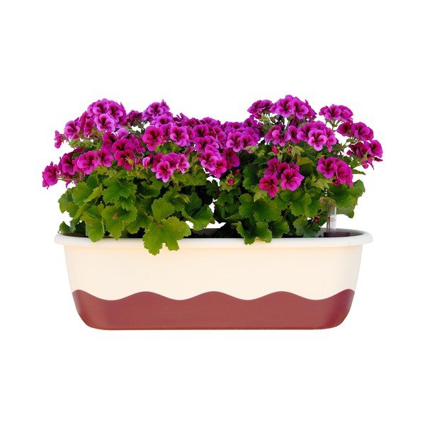 Mareta fehér-rózsaszín önöntöző virágláda, hosszúság 80 cm - Plastia-image-1