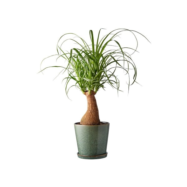 Kőedény kaspó ø 14 cm Gastro Green/Black – Bitz-image-1