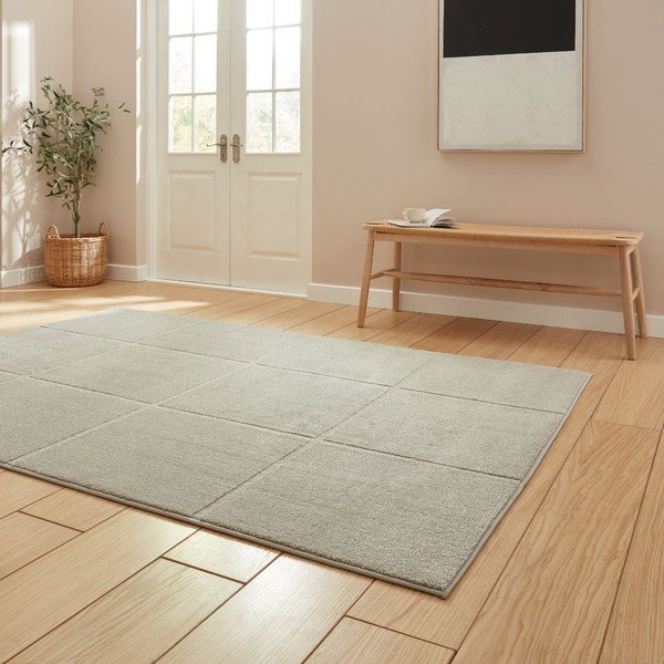 Világosszürke szőnyeg 120x170 cm Elio Silver – Think Rugs-image-2