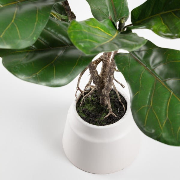 Fikusz műnövény (magasság 60 cm) Lyrata – Kave Home-image-1