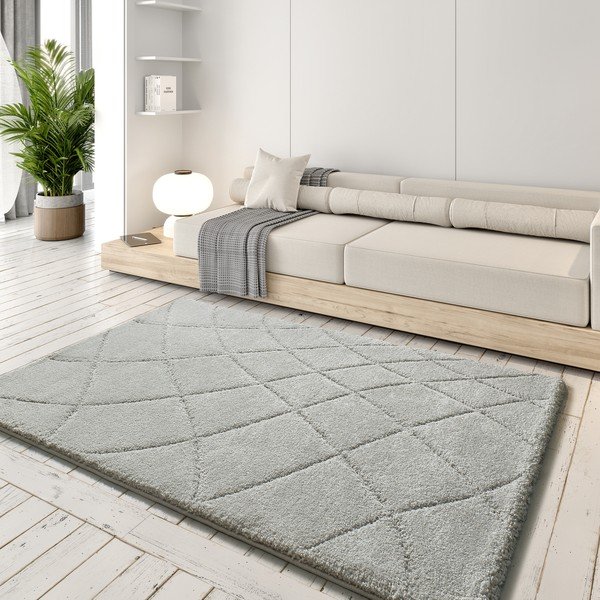 Világosszürke szőnyeg 60x120 cm Molier – Universal-image-1