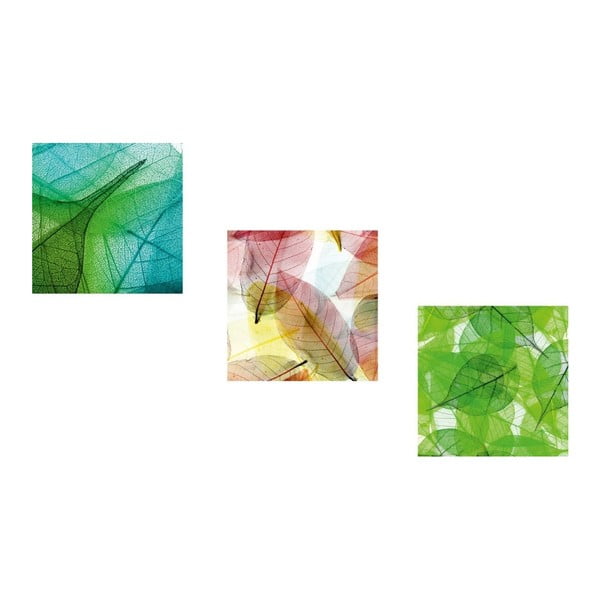 Wall Framework Tropical Leafes 3 részes kép szett