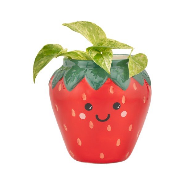 Kerámia kaspó ø 10 cm Strawberry – Sass & Belle-image-1