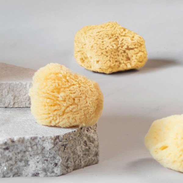 Arctisztító szivacs szett 5 db-os Ocean - Mette Ditmer Denmark-image-4