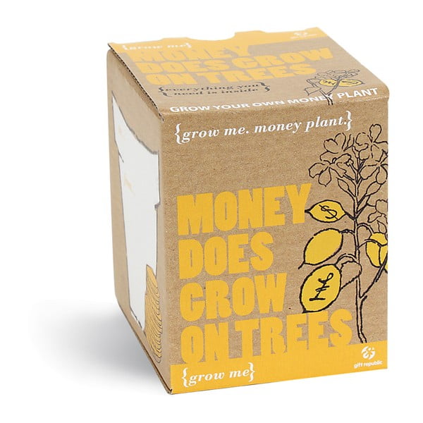 Money Does Grow On Trees növénytermesztő készlet hegyescsúcsú futóka magokkal - Gift Republic