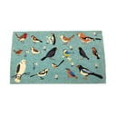 Kókuszrost lábtörlő 43x73 cm Garden Birds – Rex London