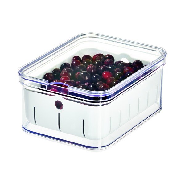 Átlátszó fedeles tároló, 21 x 16 cm - iDesign-image-1