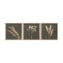 Kép szett 3 db-os 30x30 cm Pampas – Styler