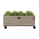 Gurulós virágláda borovi fenyőfából, szélesség 59 cm - Esschert Design