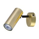 Aranyszínű fém fali lámpa Colly – Candellux Lighting