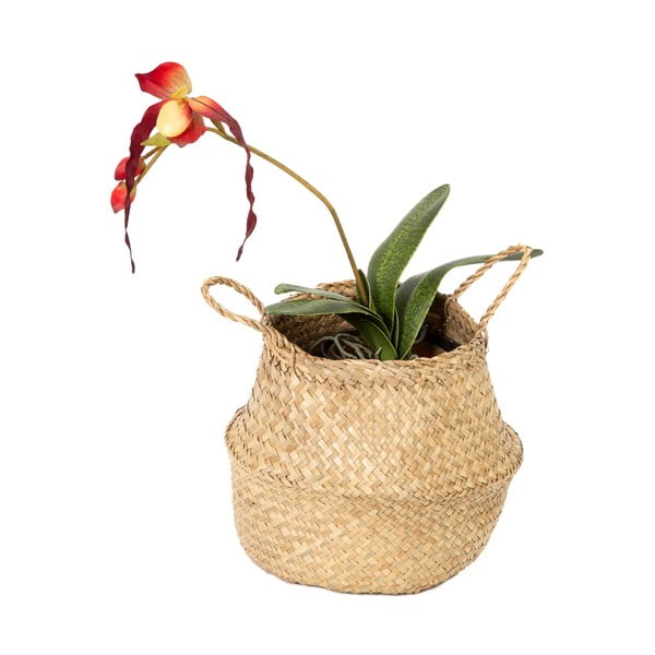 Világos tengerifű tárolókosár, ⌀ 27 cm - Compactor-image-3