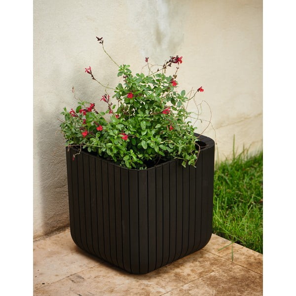 Műanyag virágcserép Cube – Keter-image-1