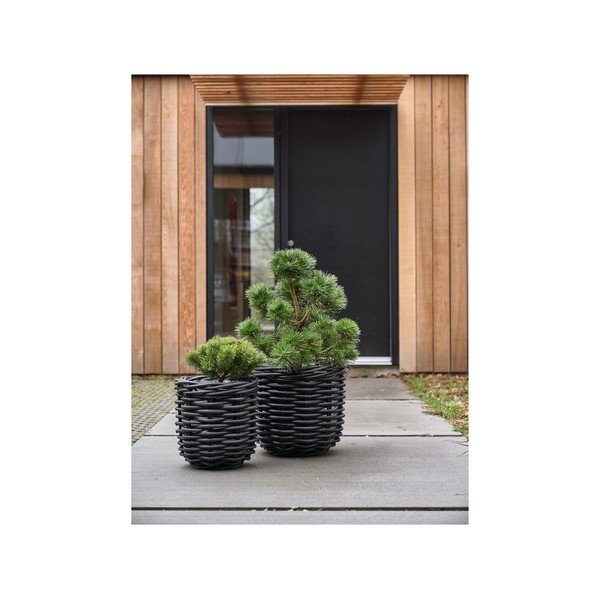 Rattan virágcserép készlet 2 db-os ø 52 cm Vilda – Villa Collection-image-3