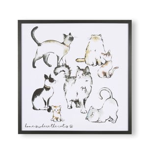 Home Is Where The Cat Is keretezett fali plakát, 50 x 50 cm - Art for the home