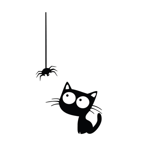 Cat And Spider falmatrica - Ambiance-image-1