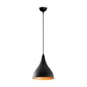 Fekete függőlámpa fém búrával ø 22 cm Sağlam – Opviq lights