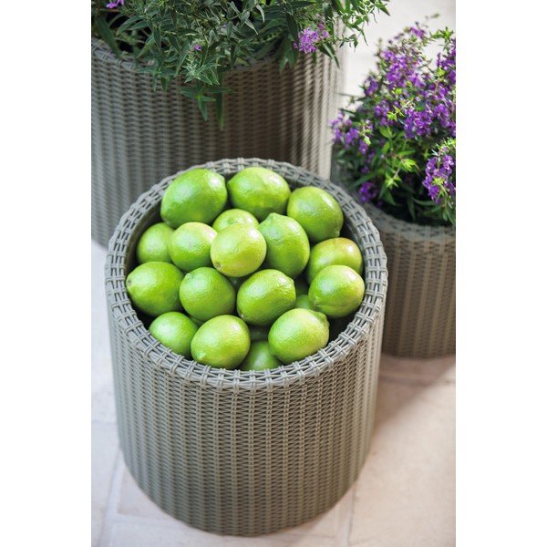 Planter szürke virágcserép, ø 35 cm - Keter-image-1