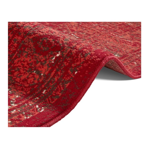 Celebration Plume piros szőnyeg, 120 x 170 cm - Hanse Home-image-2