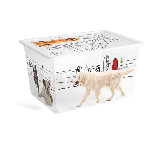 Fehér fedeles műanyag tárolódoboz 55x39x31 cm C Box Style – KIS