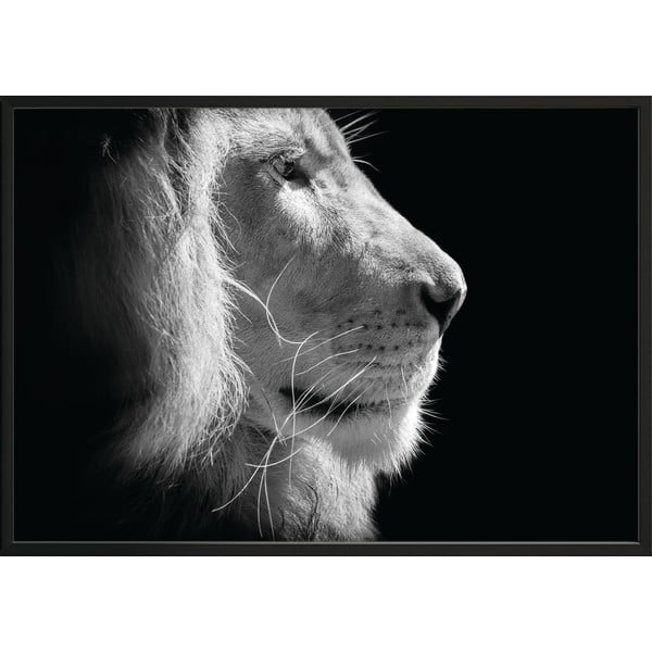 Lion King fekete-fehér plakát, 100 x 70 cm - DecoKing