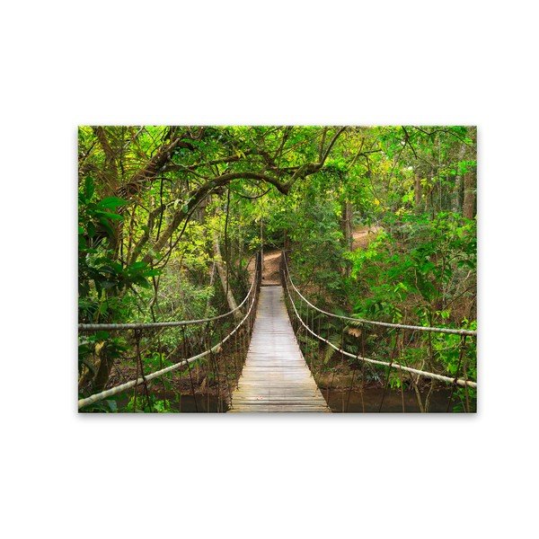 Glas Nature Forest Bridge kép, 80 x 120 cm - Styler