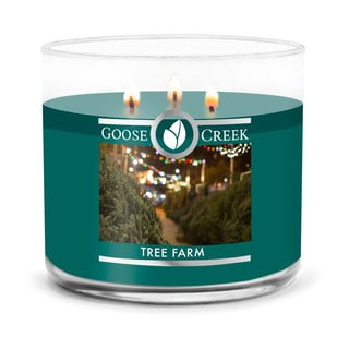 Tree Farm illatgyertya, égési idő 35 óra - Goose Creek