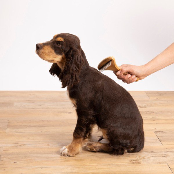 Kisállat kefe – Love Story-image-1