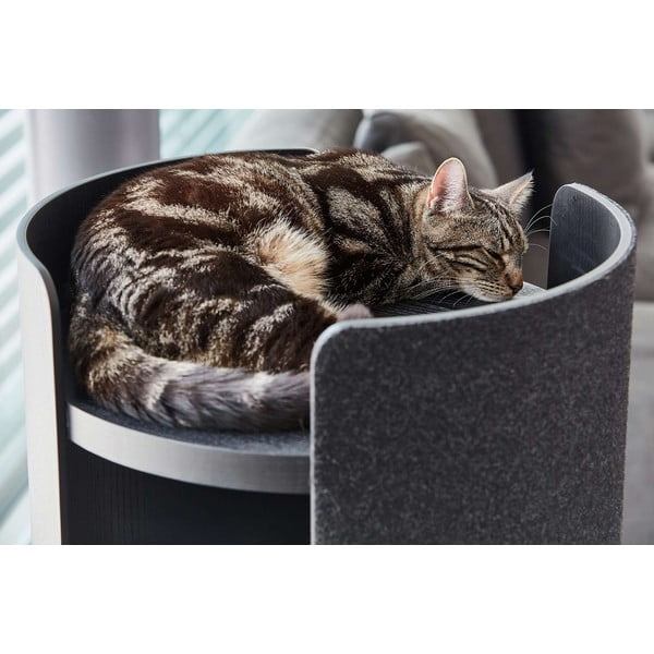 Kaparófa Torre Ash Black S – MiaCara-image-1