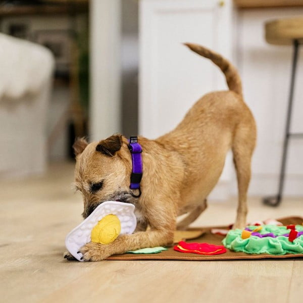 Szagolós takaró Brunch – P.L.A.Y.-image-1