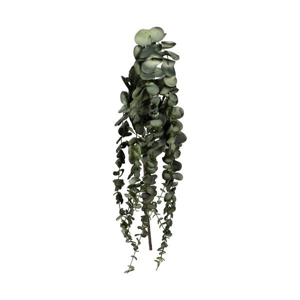 Művirág Eucalyptus – Côté Table