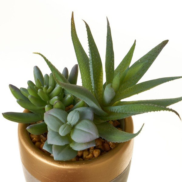 Műnövény szett 4 db-os (magasság 17 cm) Cactus – Casa Selección-image-3