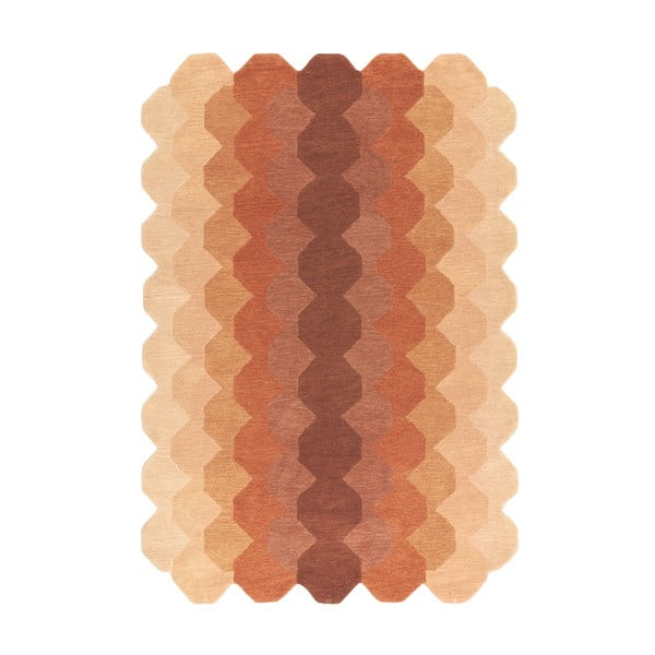 Téglavörös gyapjú szőnyeg 160x230 cm Hive – Asiatic Carpets