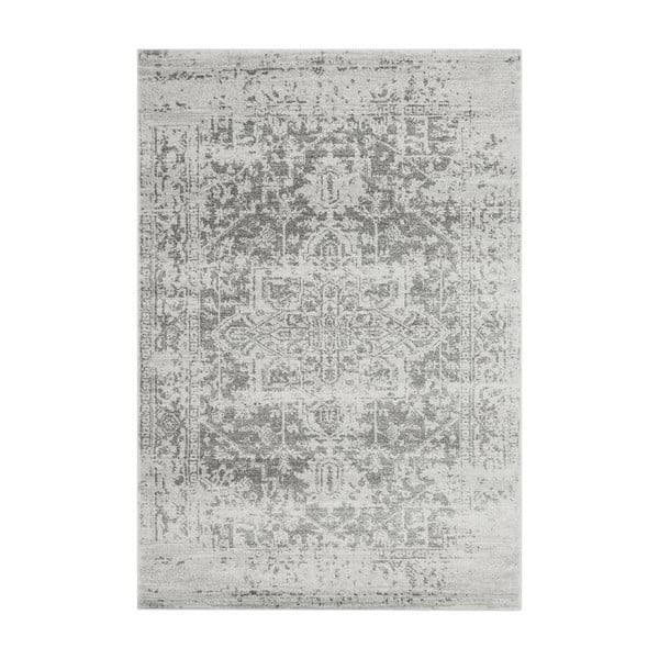Szürke szőnyeg 200x290 cm Nova – Asiatic Carpets