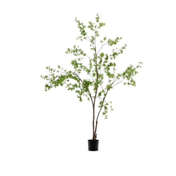 Műnövény (magasság 214 cm) Enkianthus – Kave Home