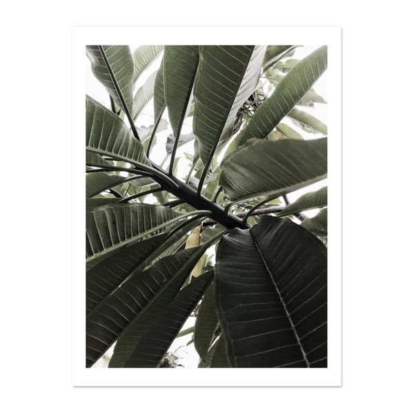 Botanic Greenery poszter, 30 x 40 cm - HF Living