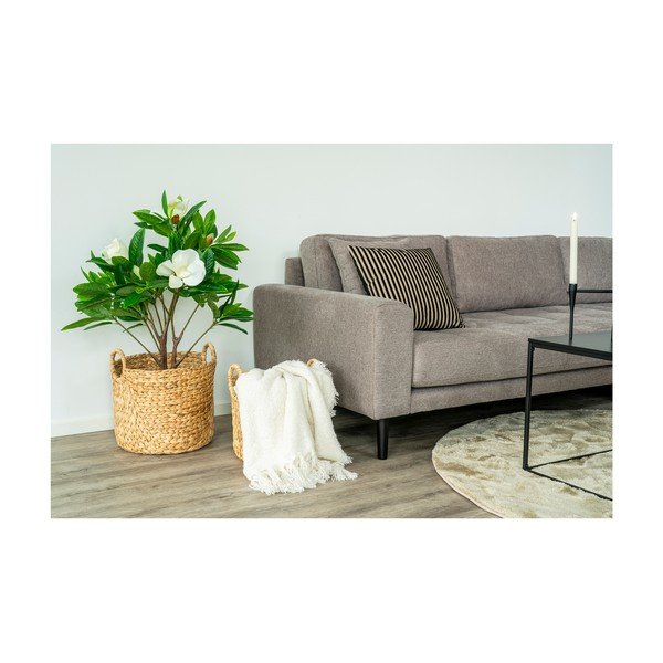 Díszpárna 43x43 cm Serpa – House Nordic-image-3