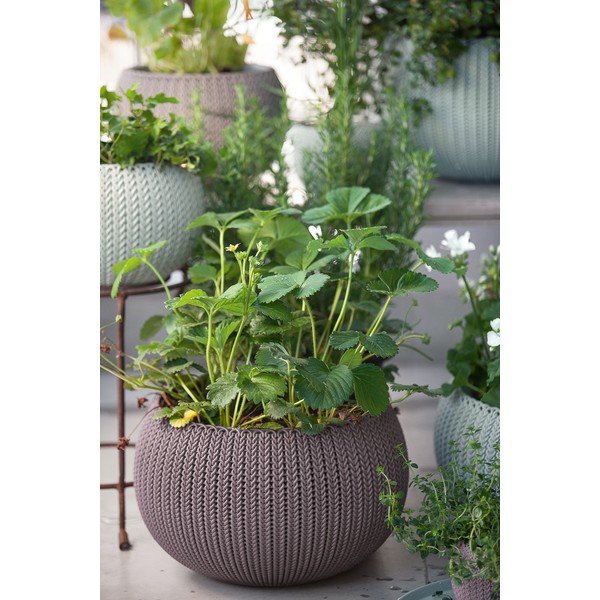 Műanyag függő virágcserép ø 36 cm Cozy – Keter-image-1