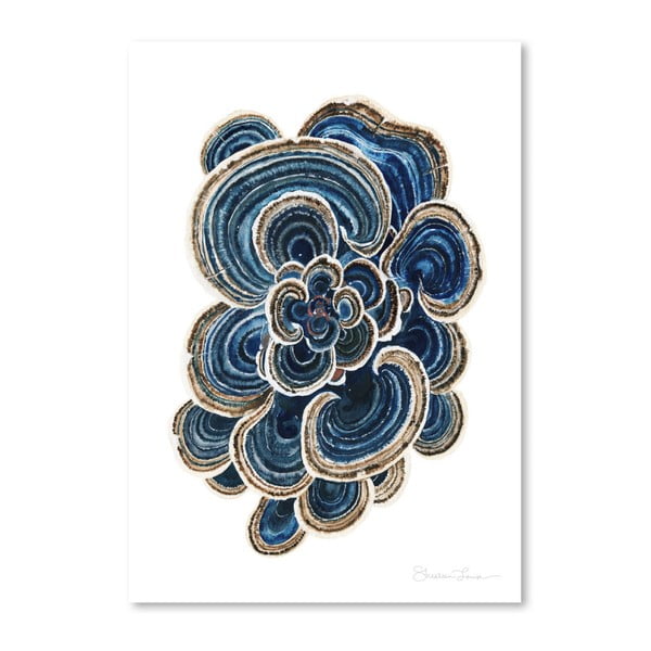 Blue Trametes Mushroom by Shealeen Louise 30 x 42 cm-es plakát