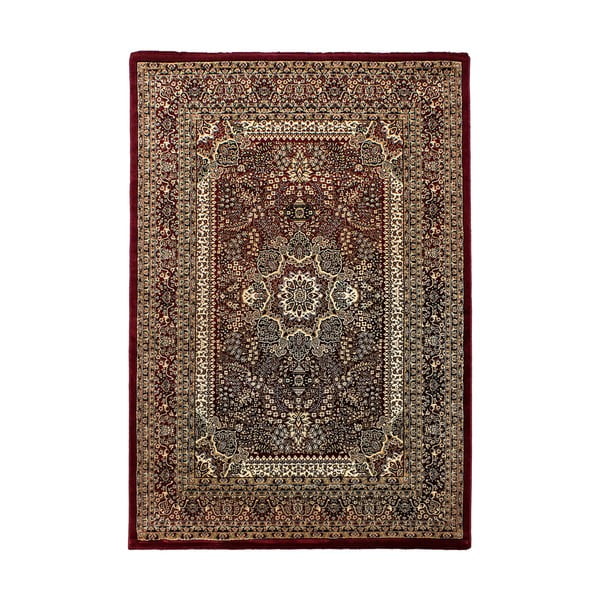 Borvörös szőnyeg 240x340 cm Marrakesh – Ayyildiz Carpets