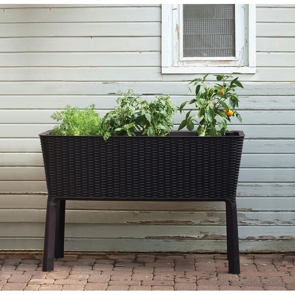 Láda Easy Grow – Keter-image-1